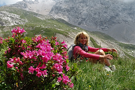 SENTIERO DEI FIORI CLAUDIO BRISSONI, percorso con giro ad anello, partendo dal Rif. Capanna 2000 il 5 luglio 2017 - FOTOGALLERY